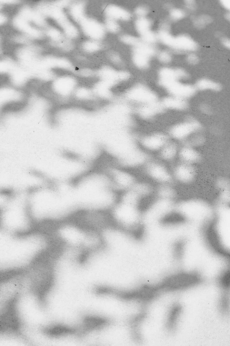 pexels-photo-2821756